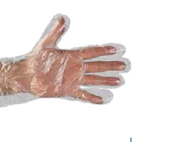 Disposable Gloves — item 803