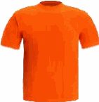 Safety Vests — item TS113