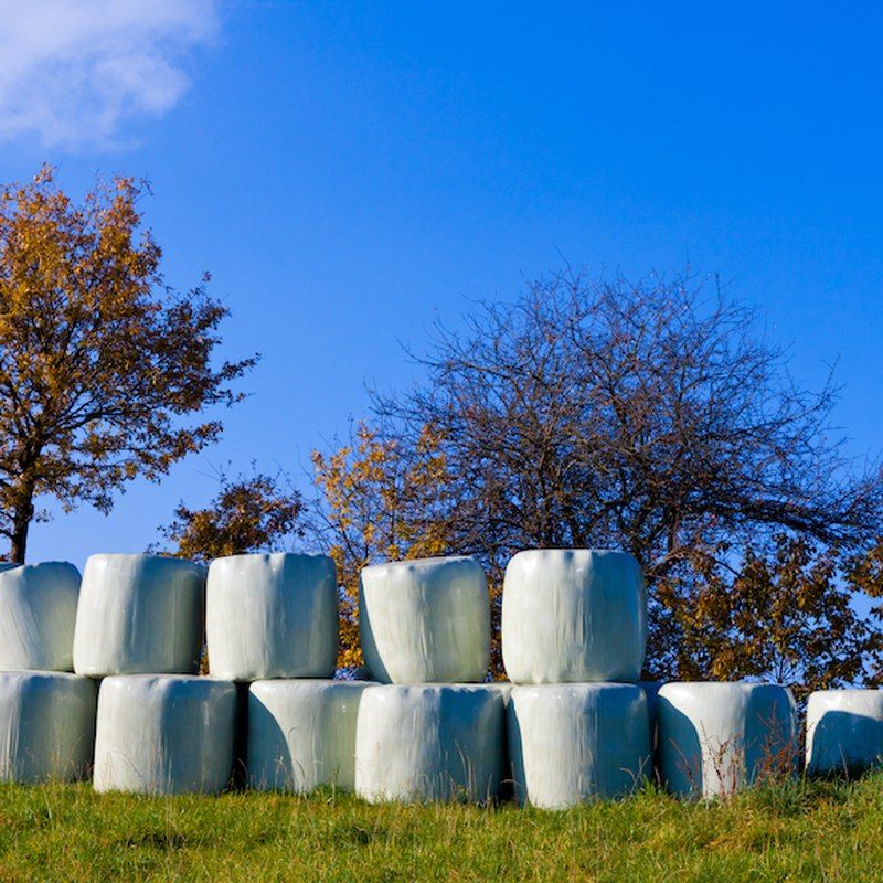 Silage Film
